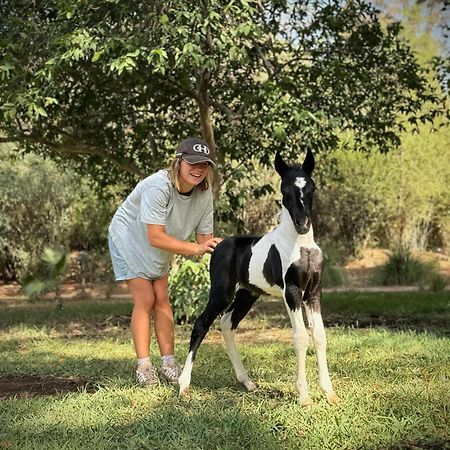 Bed and Breakfast La Vie En Rose - Horses & Dogs House Aït Hamid Zewnętrze zdjęcie