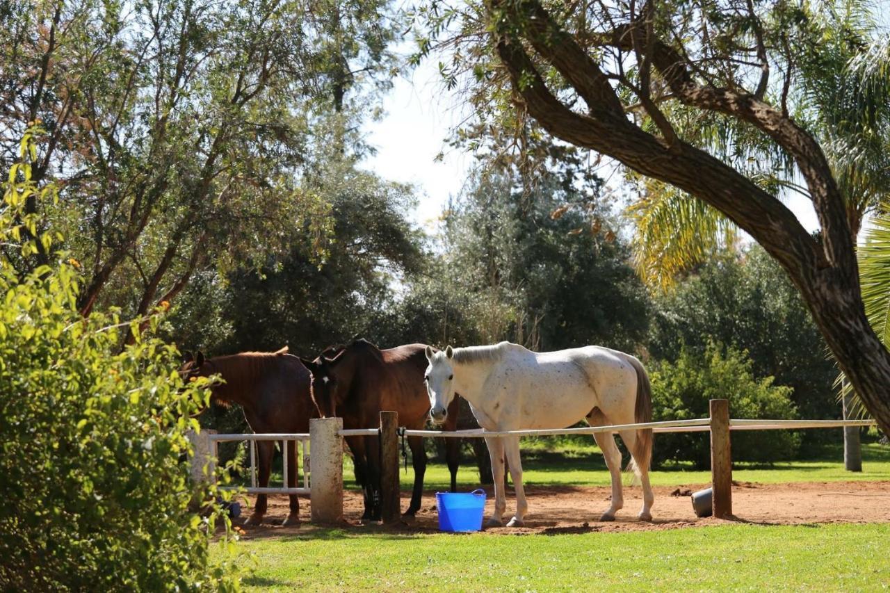 Bed and Breakfast La Vie En Rose - Horses & Dogs House Aït Hamid Zewnętrze zdjęcie