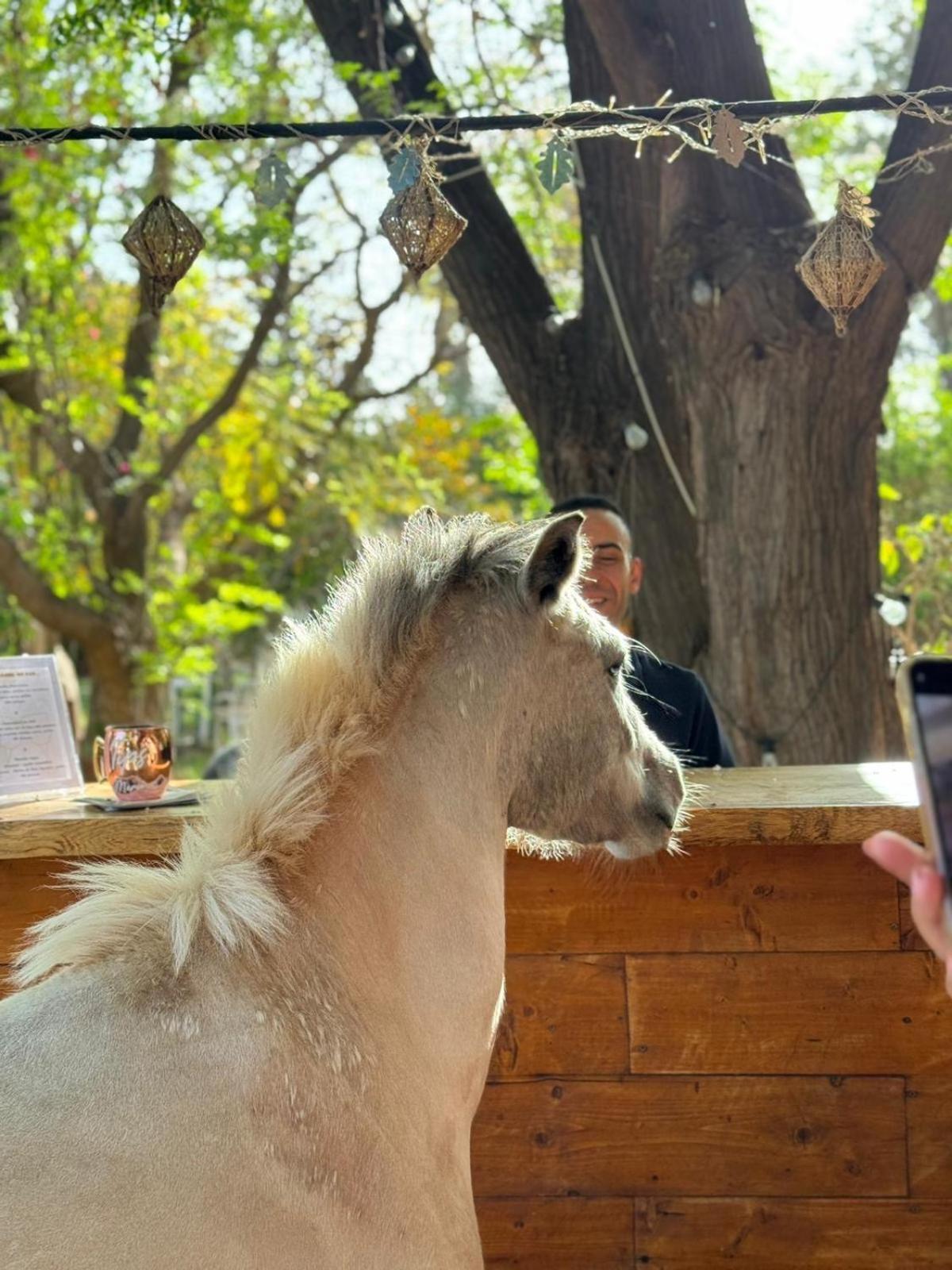 Bed and Breakfast La Vie En Rose - Horses & Dogs House Aït Hamid Zewnętrze zdjęcie